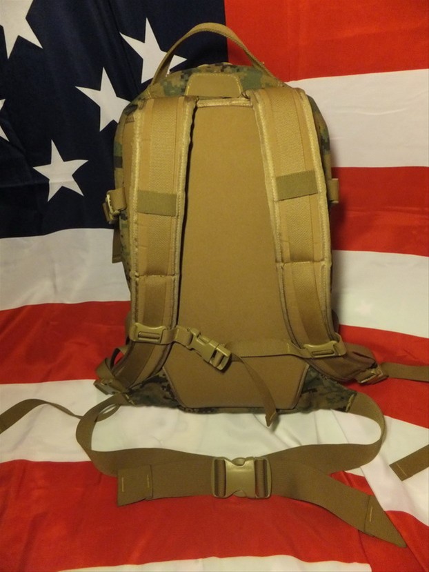 58748_1625646_a17e9.jpg