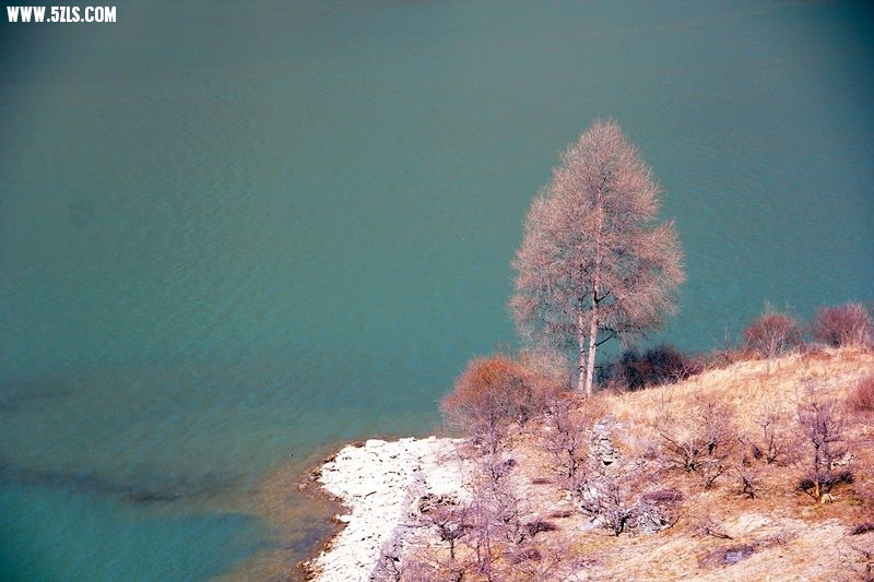 20132202115442175.jpg