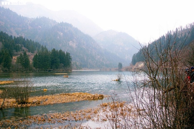 _MG_5602.jpg