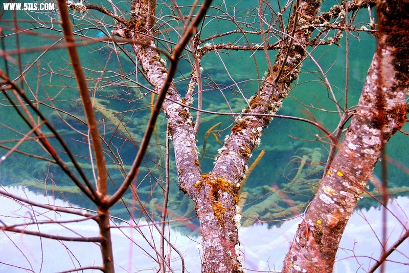 _MG_5616.jpg