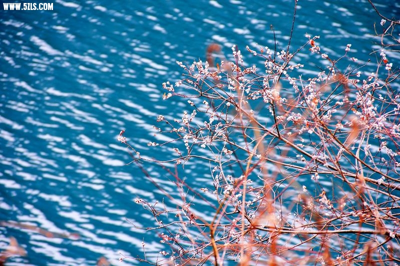 _MG_5652.jpg