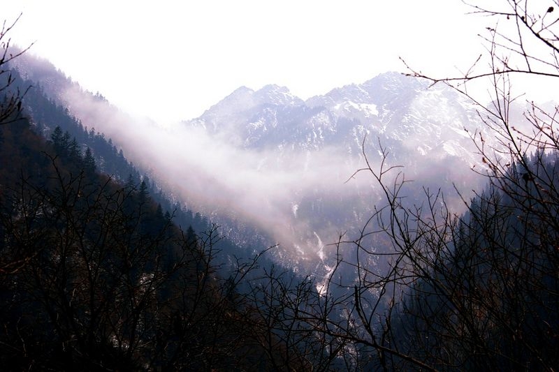 _MG_5659.jpg