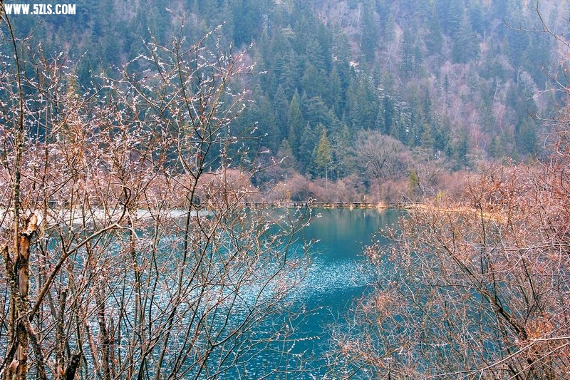 _MG_5662.jpg