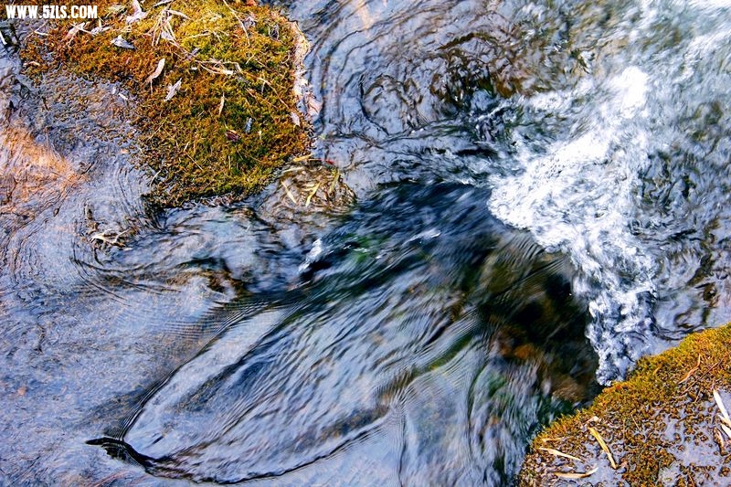 _MG_5688.jpg