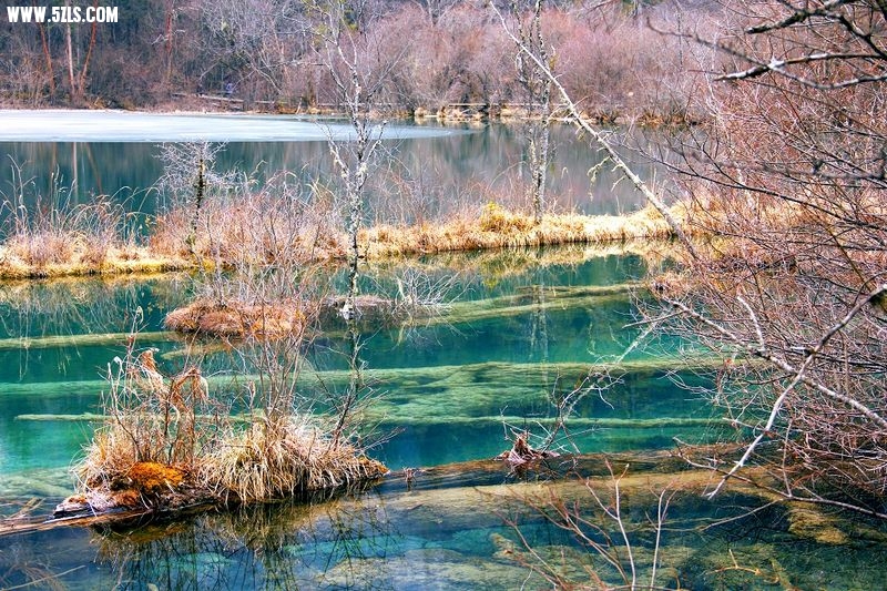 _MG_5690.jpg