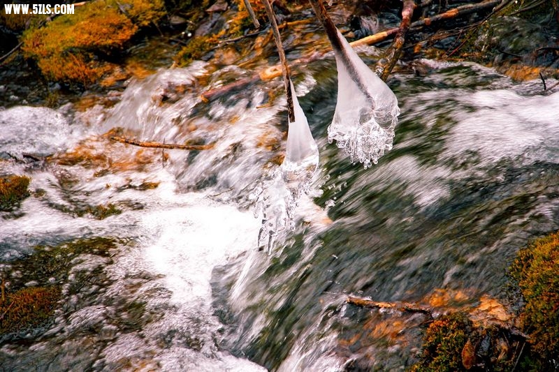 _MG_5717.jpg