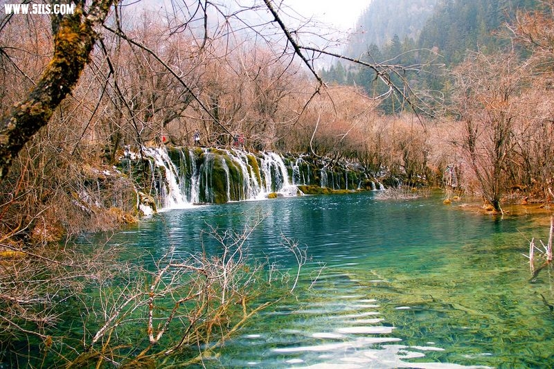 _MG_5723.jpg