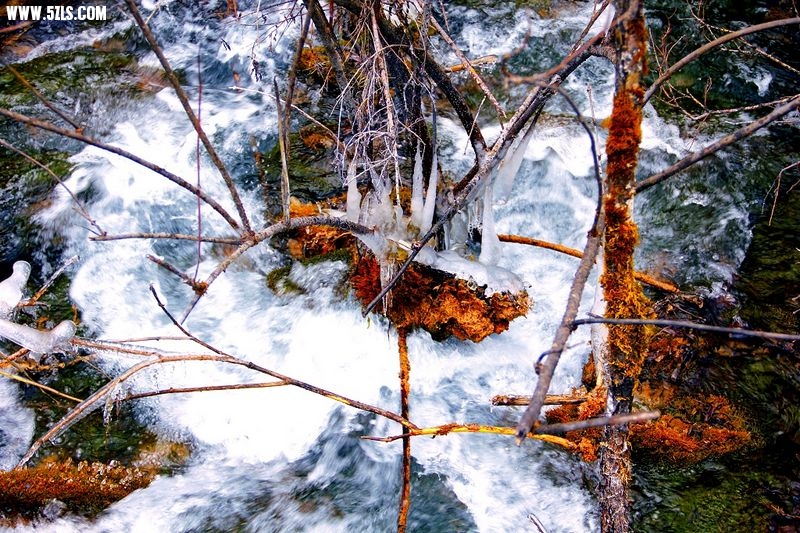 _MG_5776.jpg