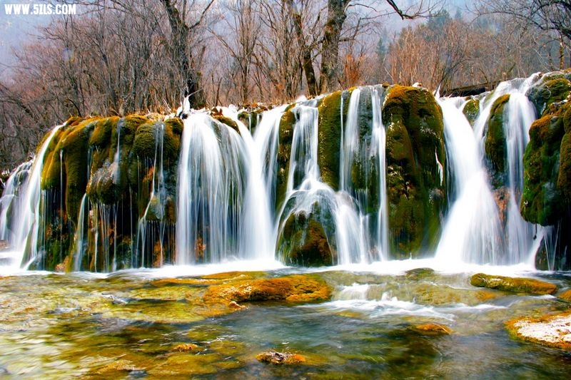 _MG_5802.jpg