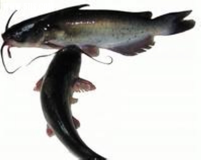 20120509162211434.jpg