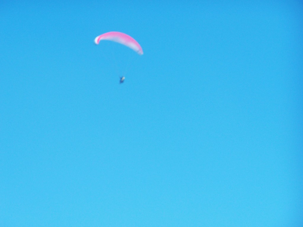 100_9480.jpg