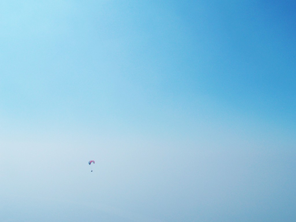 100_9483.jpg