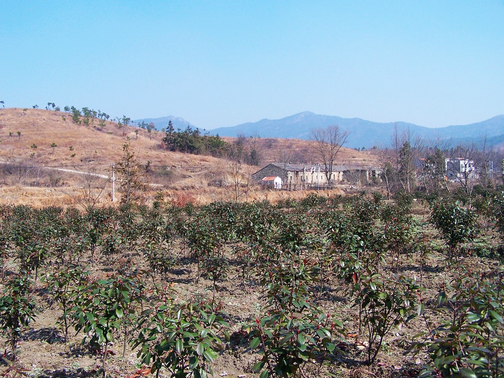 100_9498.jpg