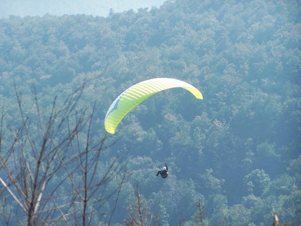 100_9545.jpg