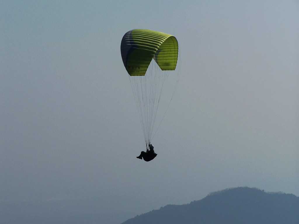 100_9557.jpg