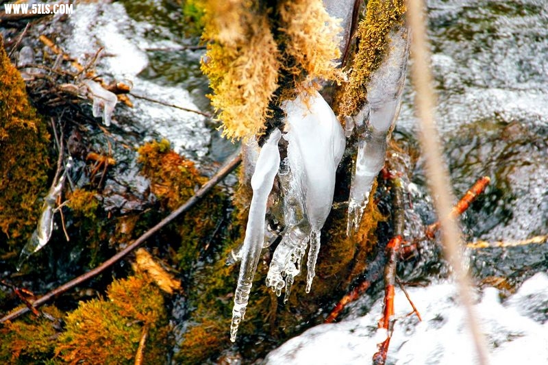 20132211534542097.jpg