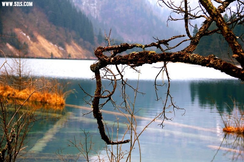 _MG_5906.jpg