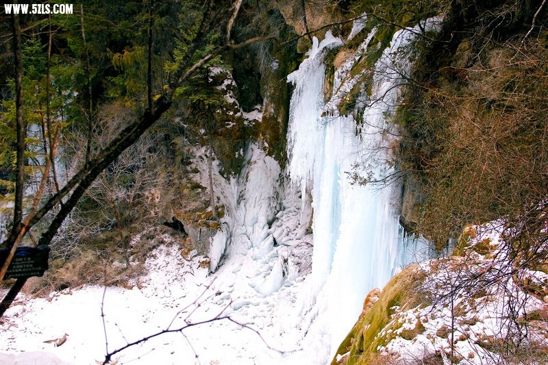 _MG_5931.jpg