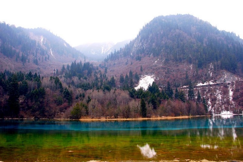 _MG_6041.jpg