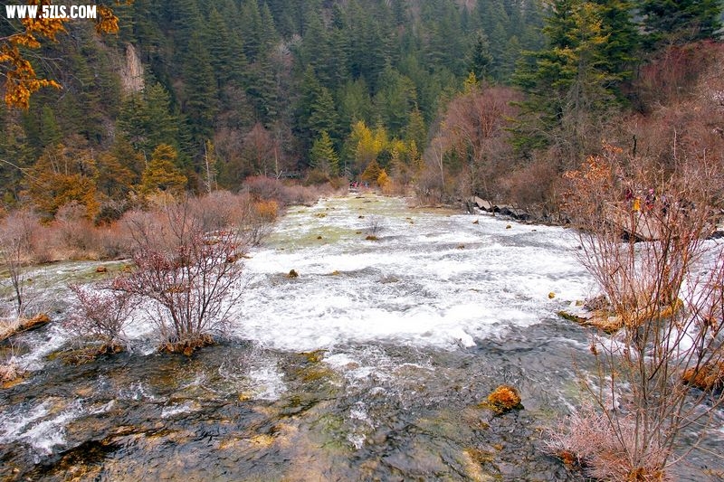 _MG_6139.jpg