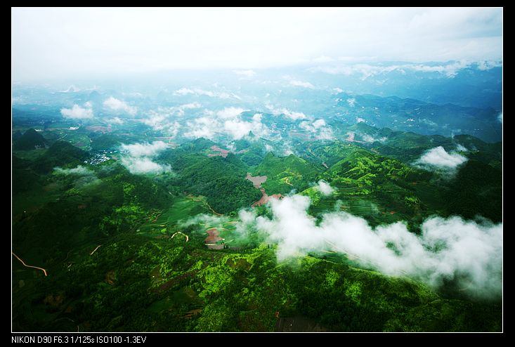 DSC_0175.jpg
