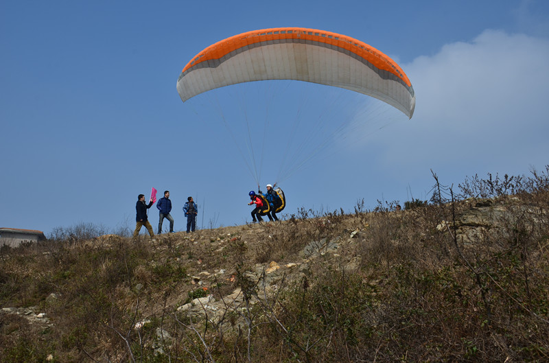CLL_8470_.jpg