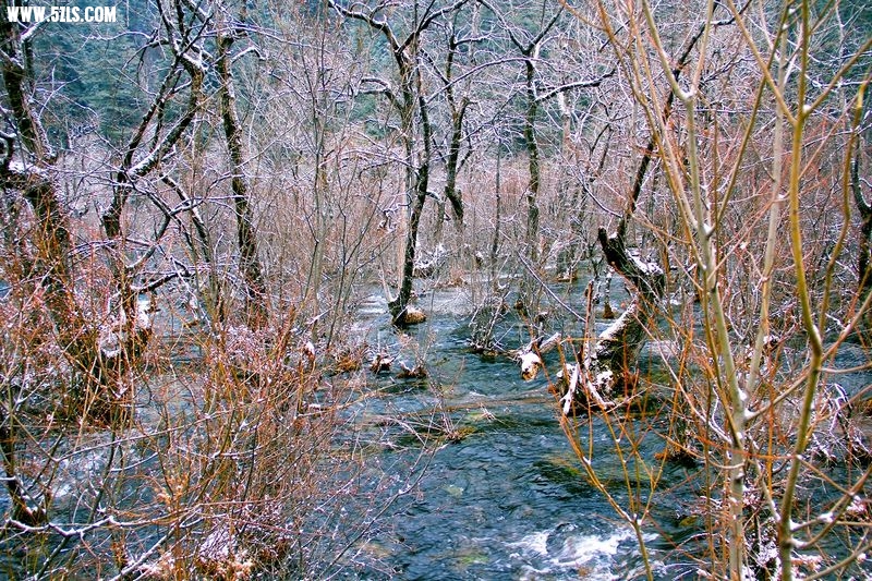 20132252145910057.jpg