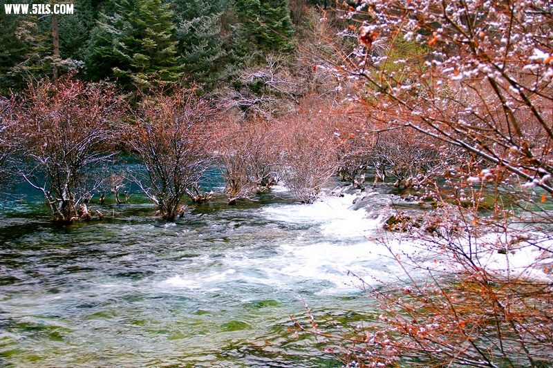 201322621255584915.jpg