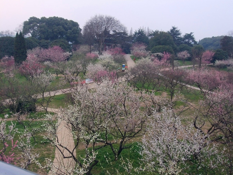 DSCF9410_.jpg