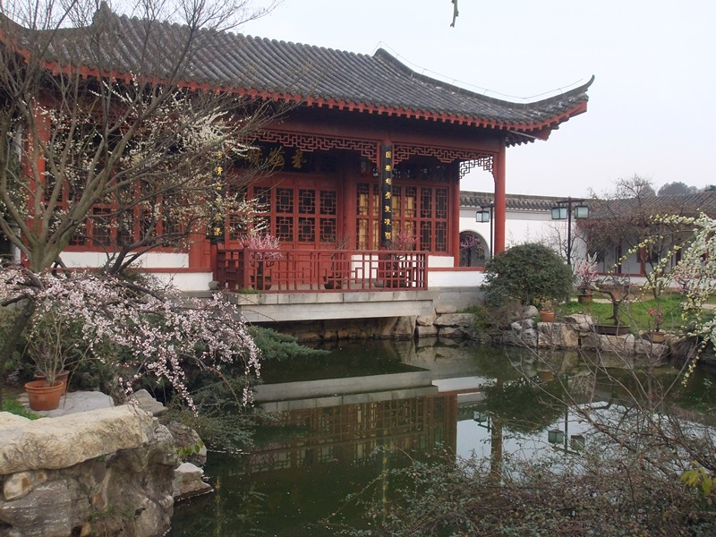 DSCF9462_.jpg