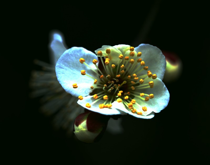 008.jpg