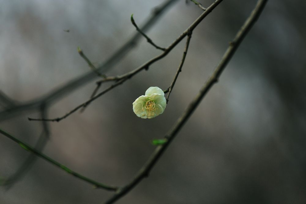 3C1A3666.jpg