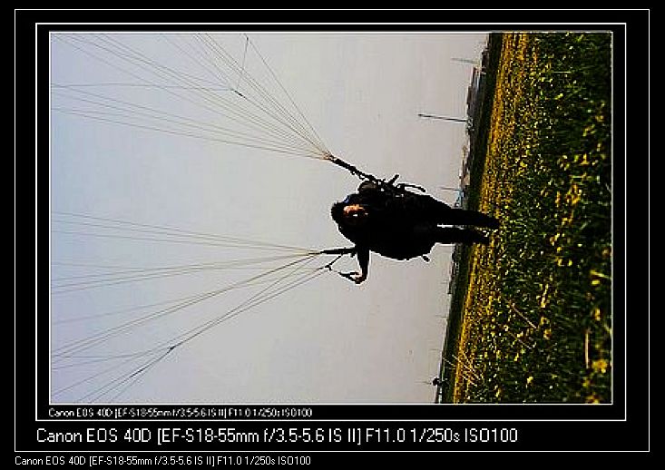 Ƭ 078.jpg