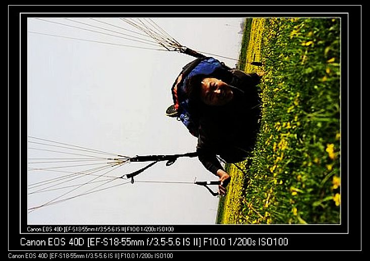 Ƭ 080.jpg
