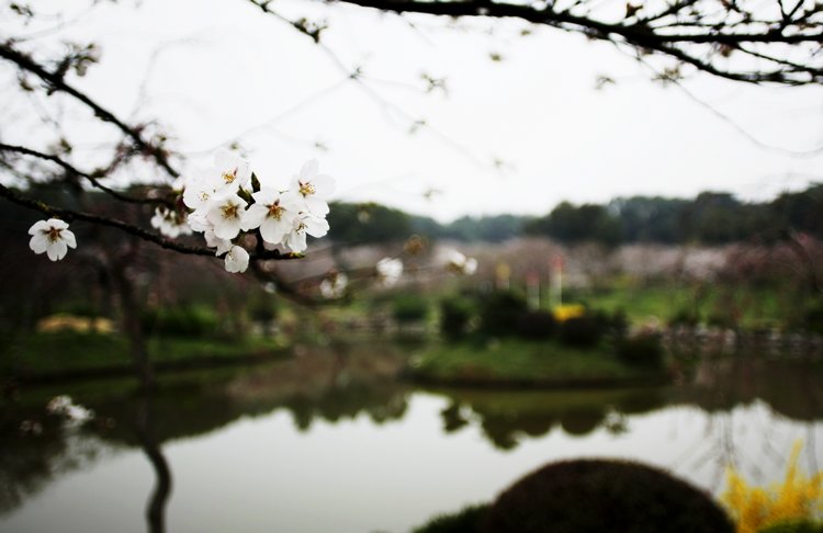 _MG_3541.jpg