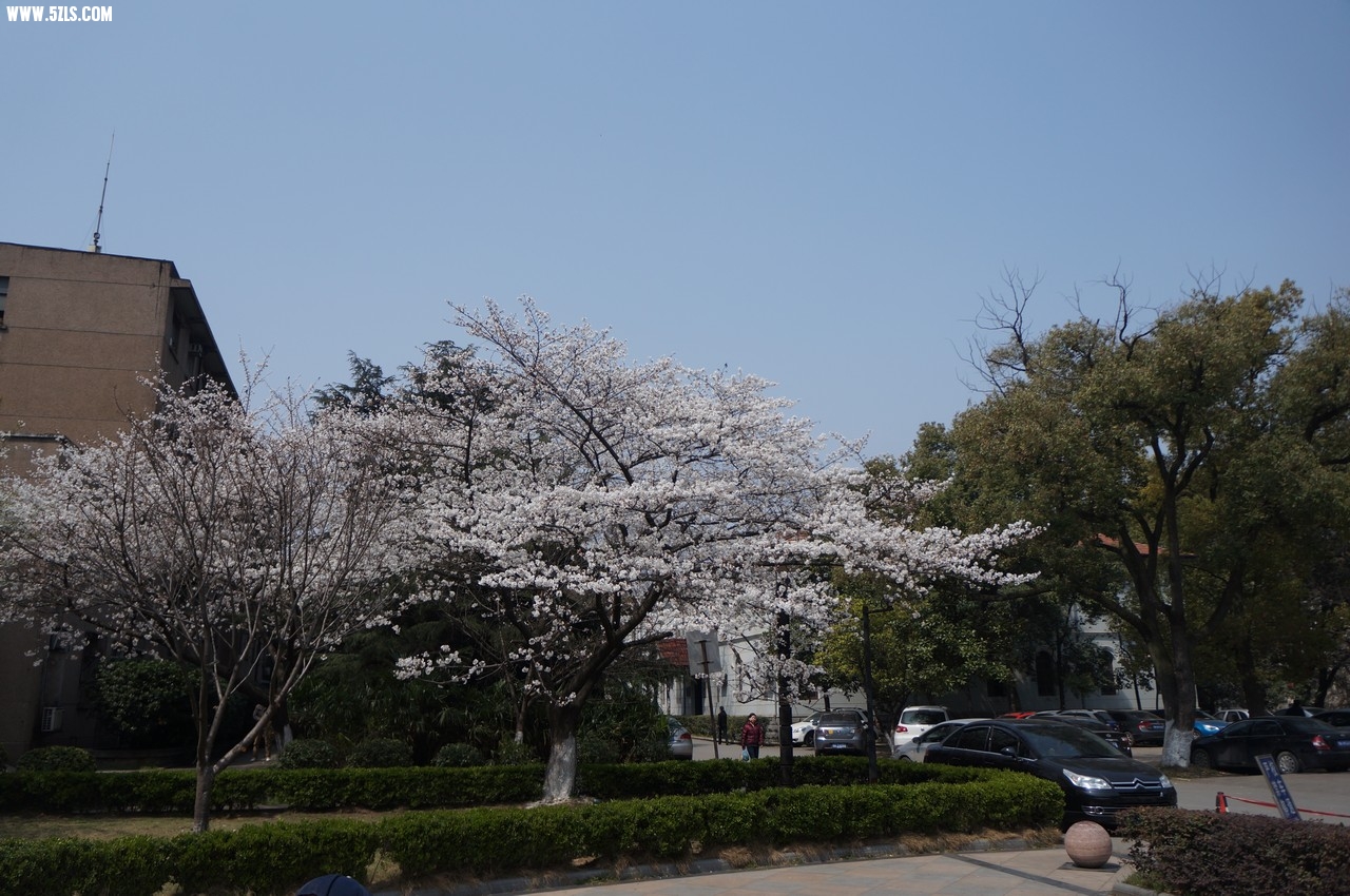 DSC02160-1280.JPG