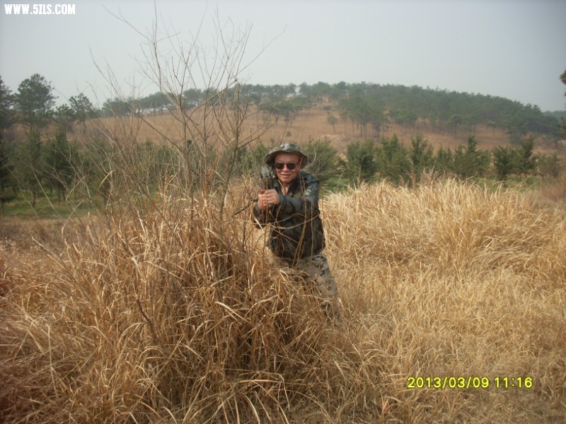 psb50.jpg