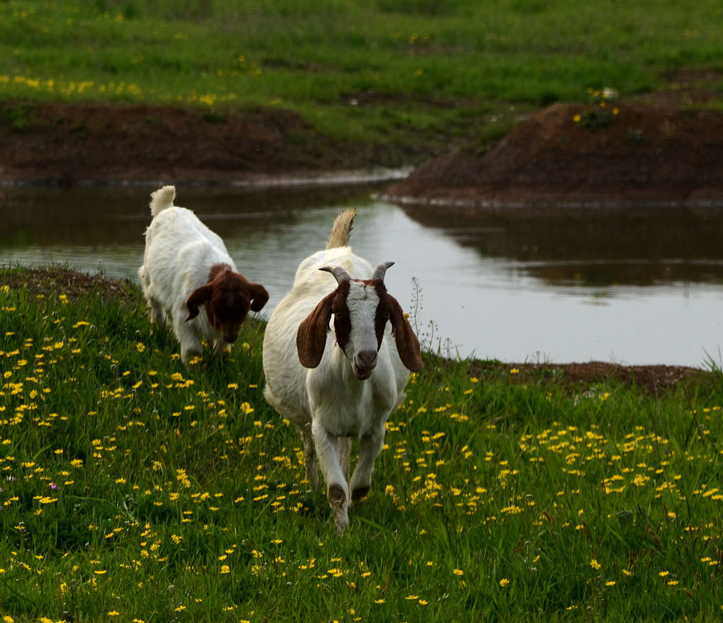 DSC_5955_.jpg