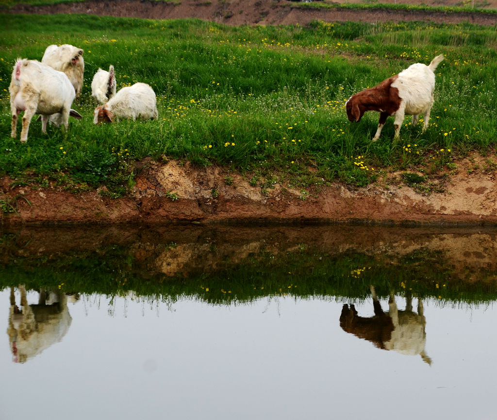 DSC_5964_.jpg