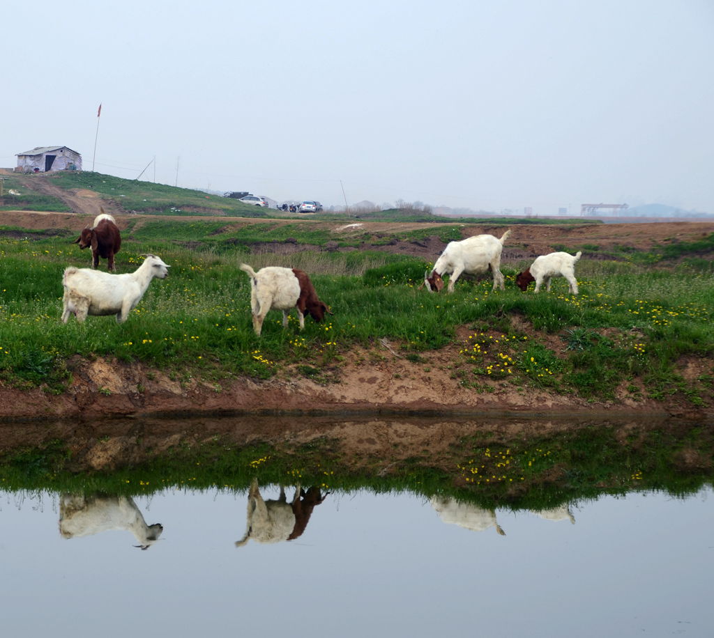 DSC_5968_.jpg