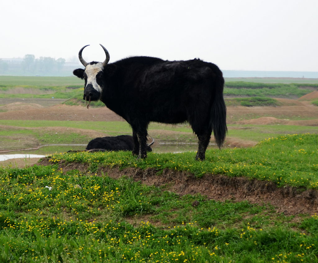 DSC_6034_.jpg
