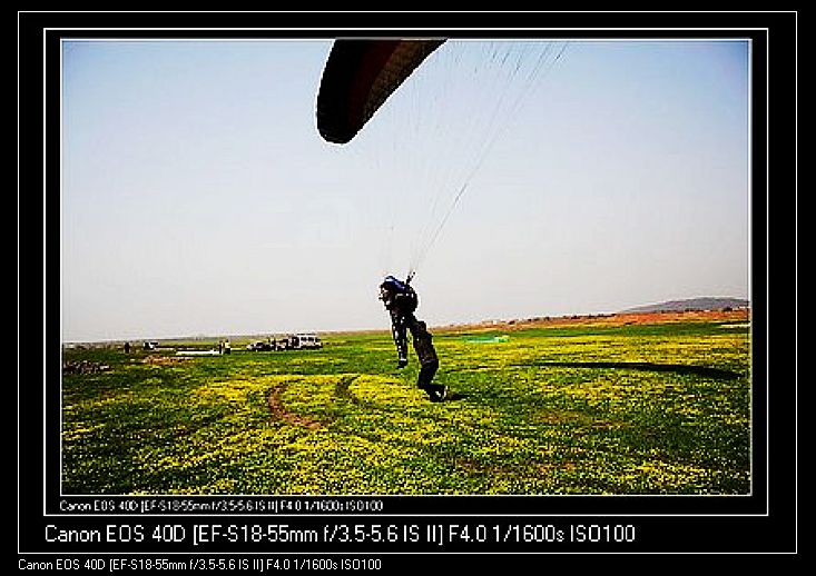 Ƭ 046.jpg