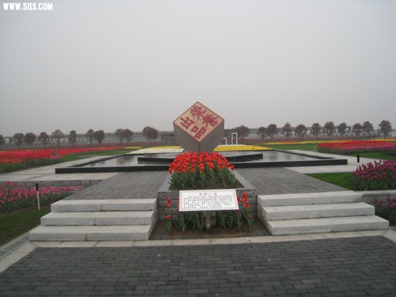 conew_img_7518.jpg