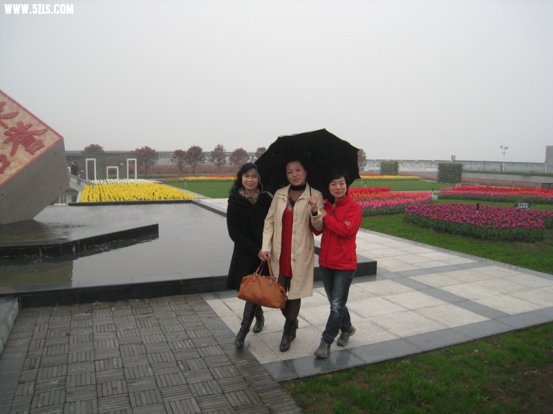 conew_img_7529.jpg
