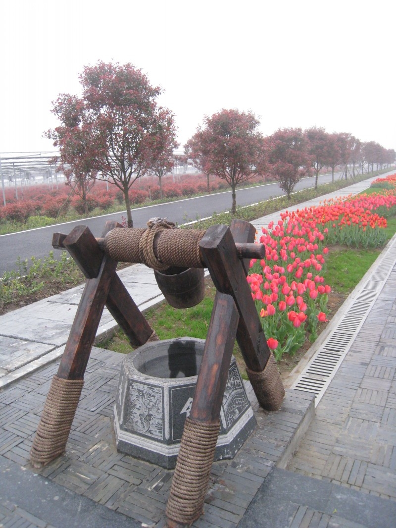 conew_img_7550.jpg