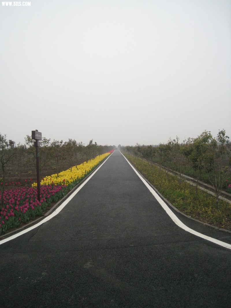 conew_img_7562.jpg