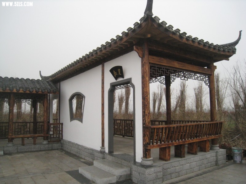 conew_img_7564.jpg