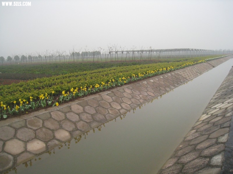 conew_img_7579.jpg