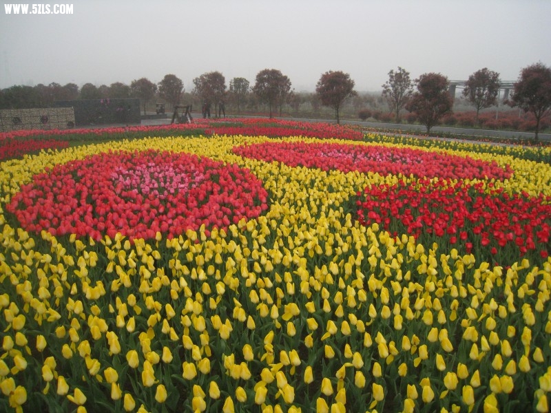 conew_img_7597.jpg