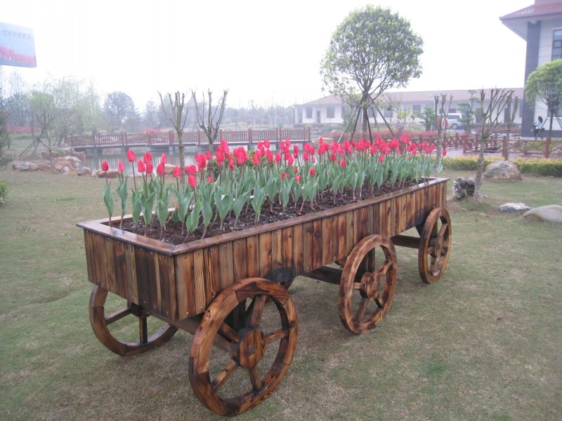 conew_img_7629.jpg